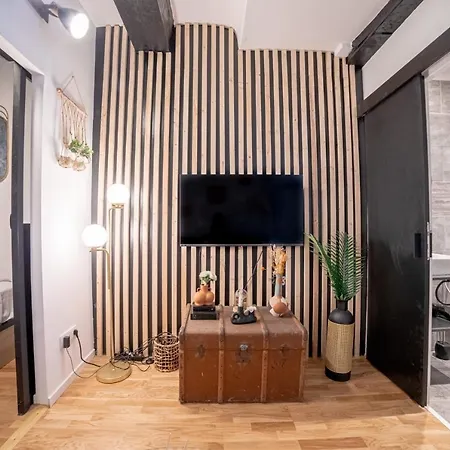 Griffin Furnished Flat Cannes