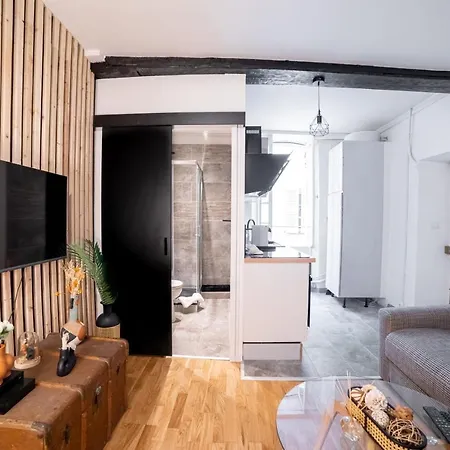 Griffin Furnished Flat Cannes